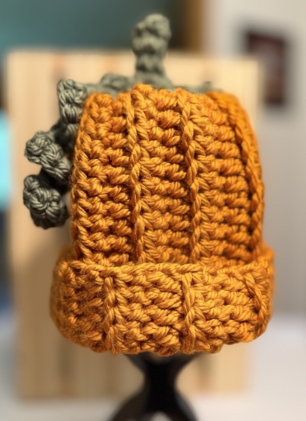 Pumpkin Hat