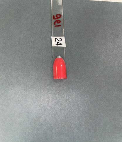 Gel Polish 24